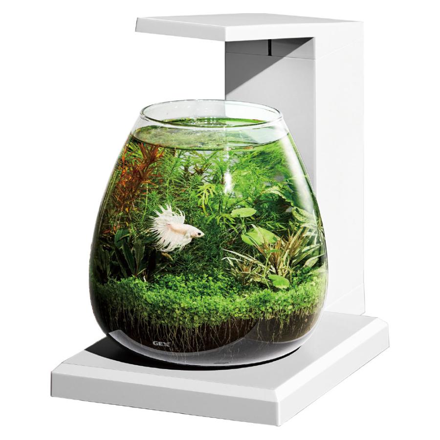 GEX（ジェックス） グラスアクア ペルコ PERCO T-WH オールインワン