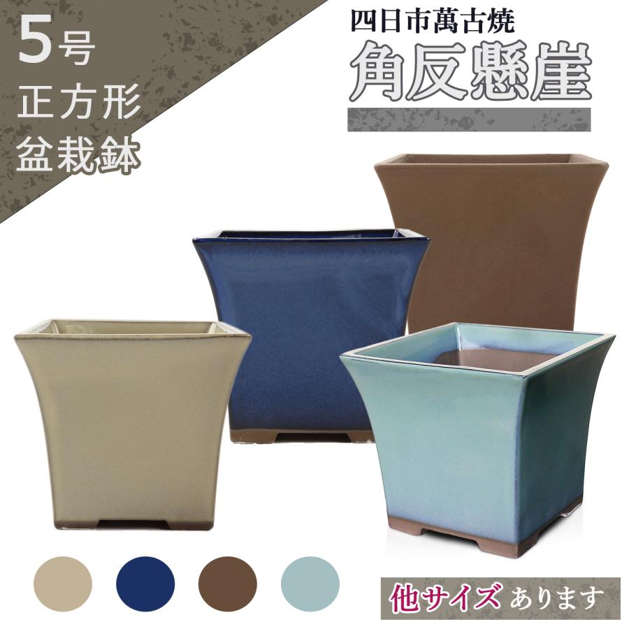 盆栽鉢 5号 角反懸崖 おしゃれ 専門店 小さい 青 ウ泥 クリーム 緑 四