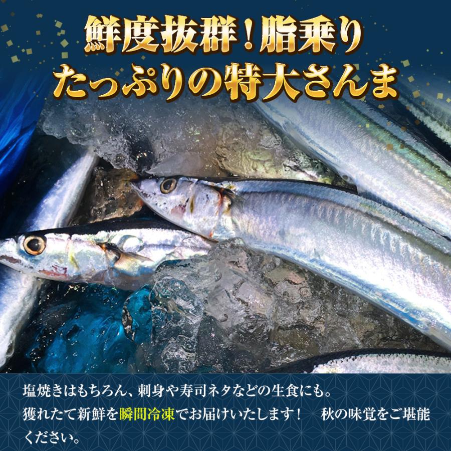 おさかな問屋 魚奏 特大生冷凍さんま 2kg（12/13尾） 送料無料 生食