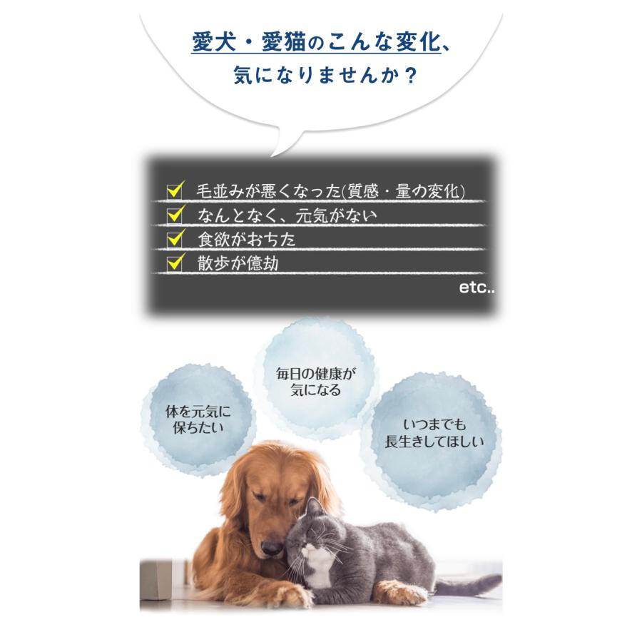 RENATUS レナトス プロショップ 全犬用 60粒（30粒入りx2個） 長方形の