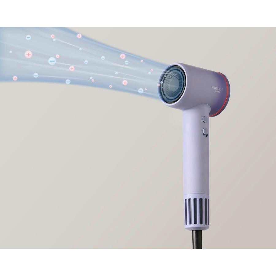 IRIS OHYAMA（アイリスオーヤマ） クイックイオンドライヤー MiCOLA