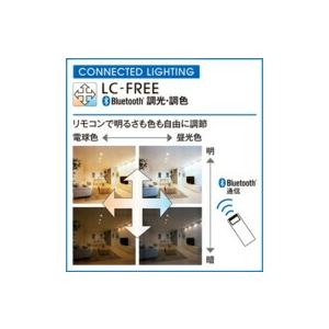 ODELIC（オーデリック） ダウンライト S形 【OD361515BCR】【OD 361