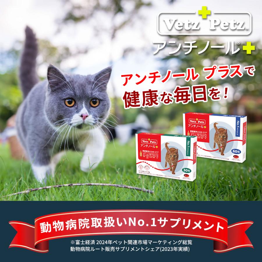 新品未開封】VetZ PetZ アンチノール 90粒 猫用サプリメント