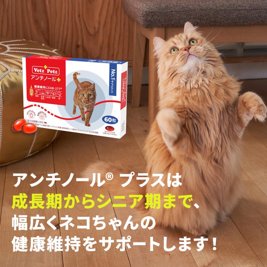 Vetz Petz（ベッツペッツ） 公式 アンチノール プラス 猫用