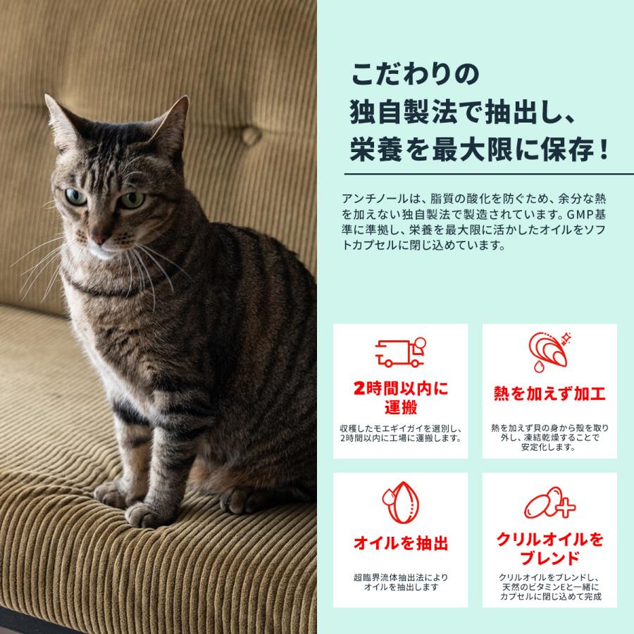 ケロタン♪】猫用 アンチノール プラス 60錠×4箱 猫のサプリメント