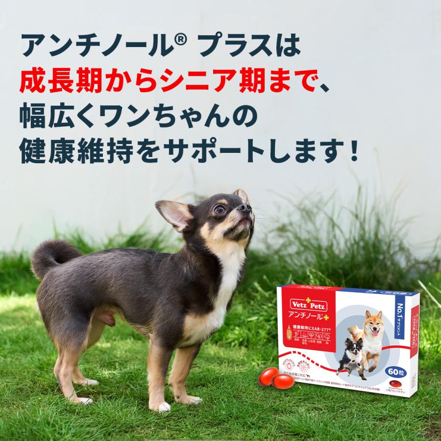Vetz Petz（ベッツペッツ） 公式 アンチノール プラス ペットサプリ 30