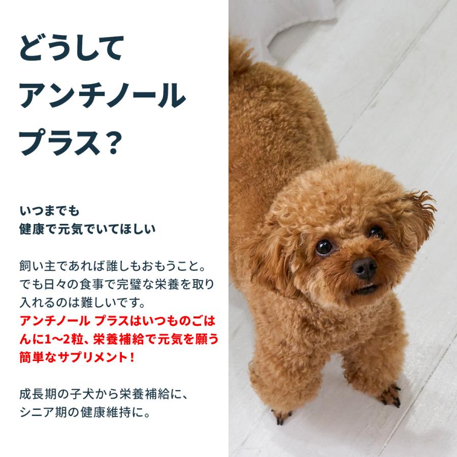 Vetz Petz（ベッツペッツ） 【公式】アンチノール プラス 犬用 60粒