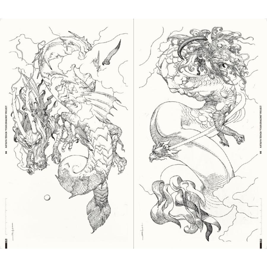 寺田克也 『寺田克也原寸』 : ヴァニラ画廊ウェブストア - 通販