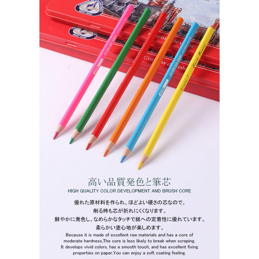 色鉛筆 12色セット 油性 人間工学 高級 12色 セット 缶入色鉛筆