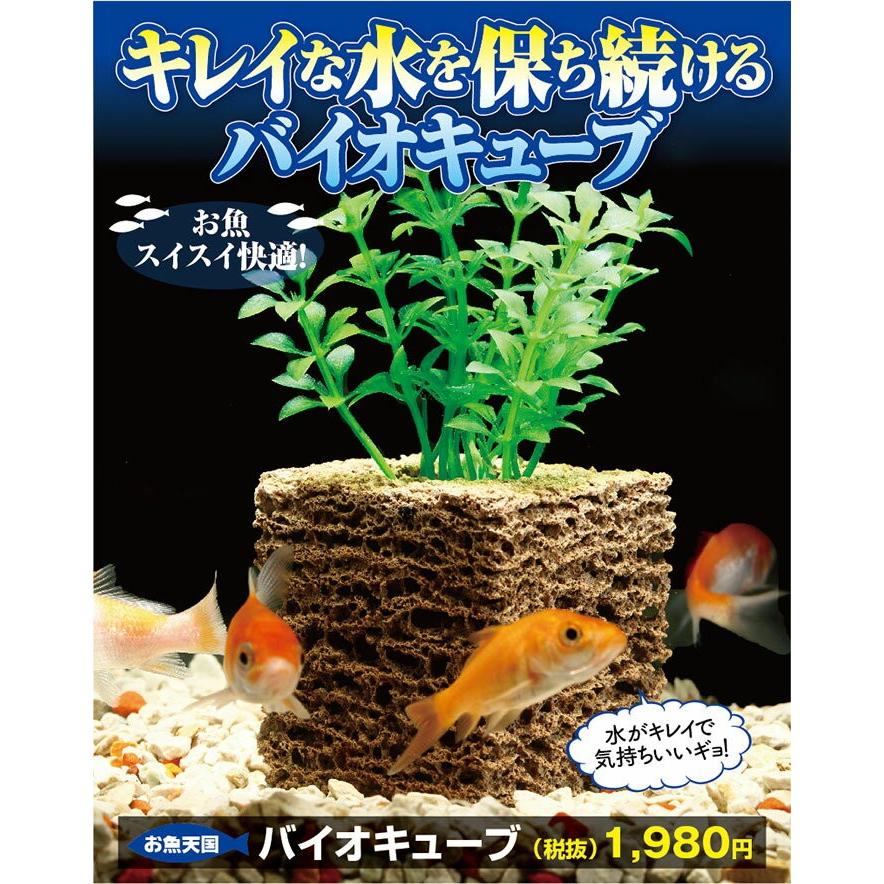 Kazumi 30キューブ ガラス水槽 濾過装置付き 楽天市場】【2／1限定