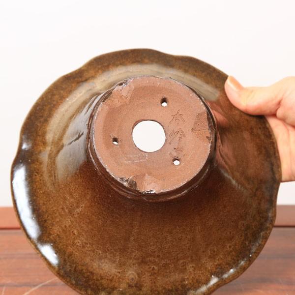 秀峰 盆栽鉢 山野草 秀峰 盆栽鉢 山野草 秀峰 盆栽鉢 山野草 秀峰