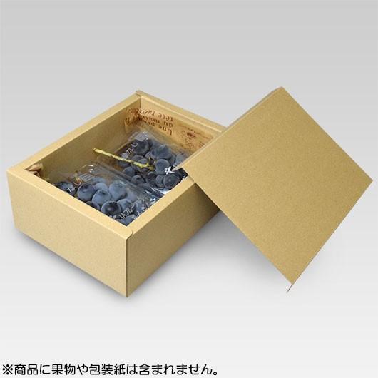 メロジョイ ギフトボックス ダンボール付き ユ*.様 Mellojoy