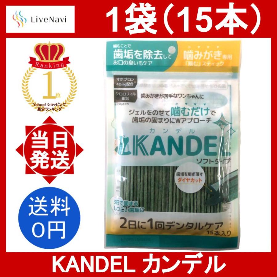 カンデル 1袋 15本 KANDEL デンタルスティック かつお風味 犬用