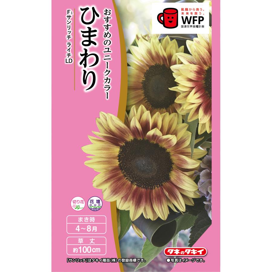 花種 NL300 ひまわり F1 サンリッチライチLD 小袋 [FHM461]【花の種
