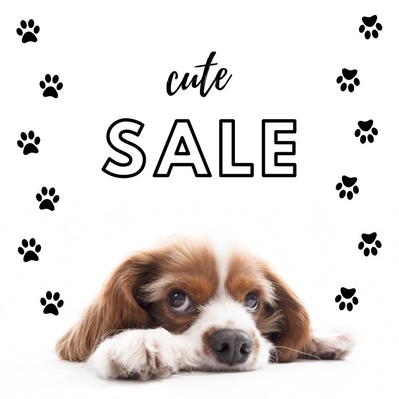 ロイヤルカナン（ROYAL CANIN） 犬 低分子プロテイン 小型犬用S 3kg