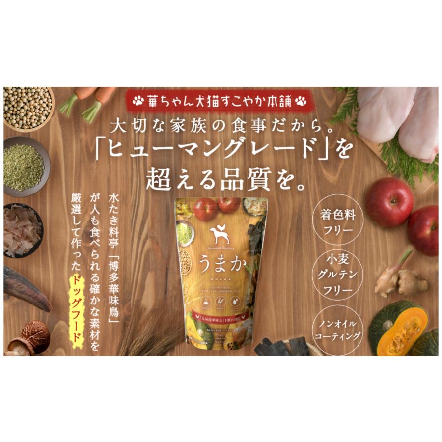 うまか 犬 ドッグフード 1.5kg プレミアム UMAKA umaka : SBSヤフー