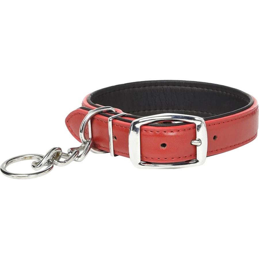 Turkey ターキー DS係留平革首輪 赤 [ペット 散歩] 中型犬用 24mm 爆買