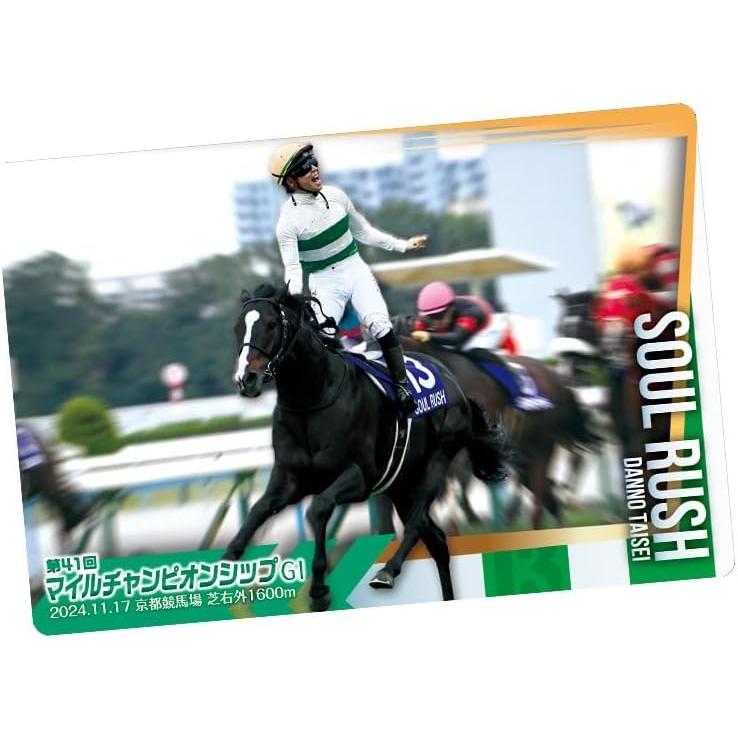 ラスト1点】サラブレッドホースコレクション 第1R〜第3R フルコンプ