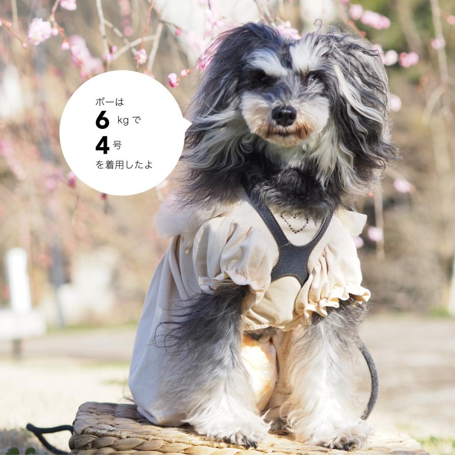 buddybelt（バディベルト）ハーネス 5号 プレミアム : 谷根犬 犬服