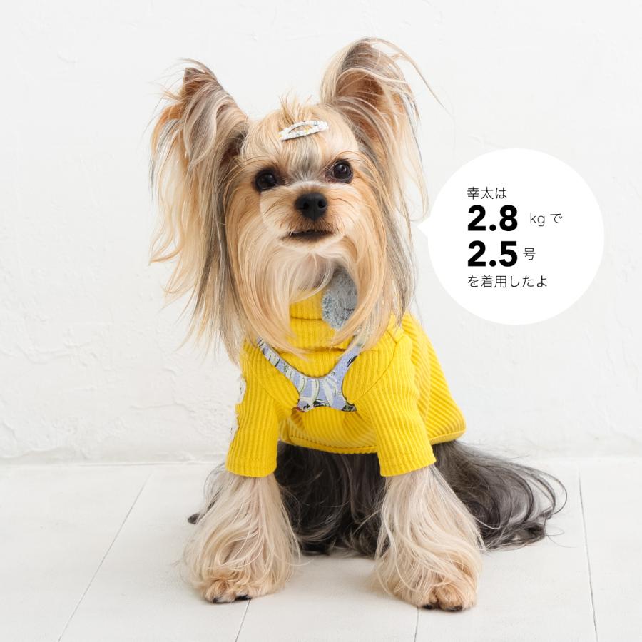 buddybelt（バディベルト）ハーネス 6号 プレミアム : 谷根犬 犬服