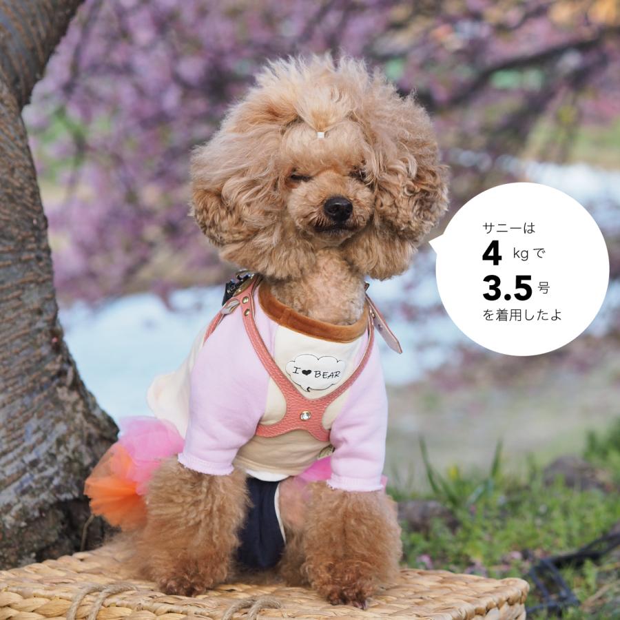 buddybelt（バディベルト）ハーネス 2号 プレミアム : 谷根犬 犬服