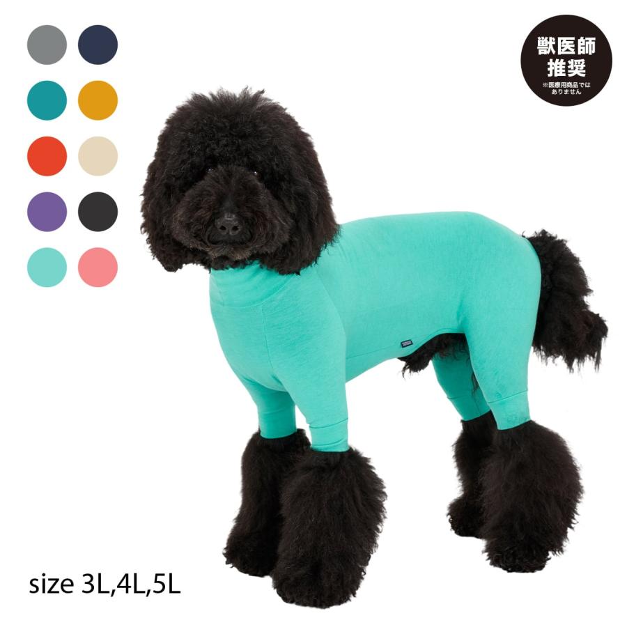 MANDARINE BROTHERS（マンダリンブラザーズ） Mandarine brothers