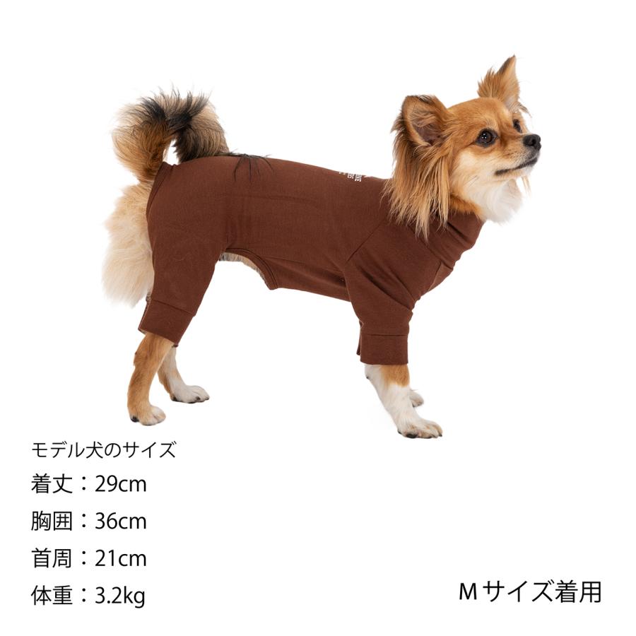 MANDARINE BROTHERS（マンダリンブラザーズ） Mandarine brothers