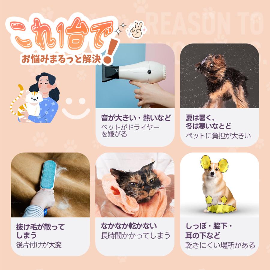 終了後自動あけドア ペットドライルーム ペットドライヤー ペット