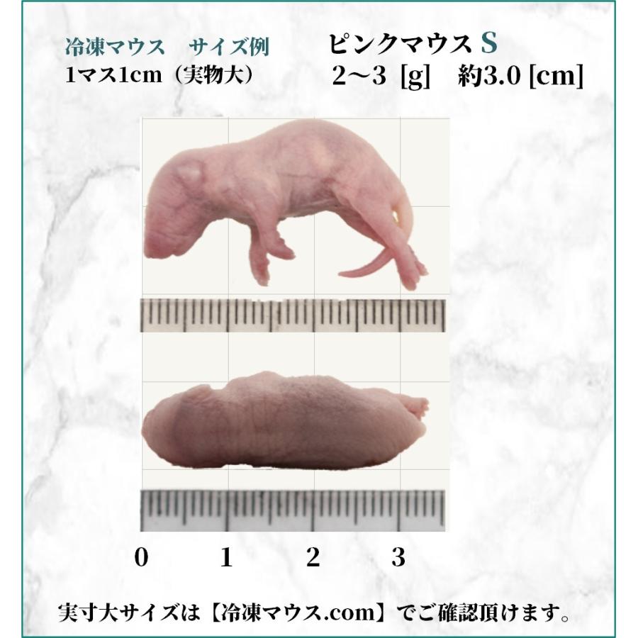 ZAZOO 国産 冷凍マウス ピンクマウスS 2〜3 g 約3.0 cm 真空 個別