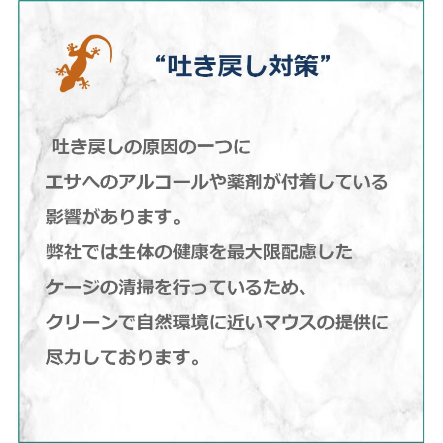 ZAZOO 国産 冷凍マウス ピンクマウスSS 1〜2 g 約2.5 cm 真空 個別包装