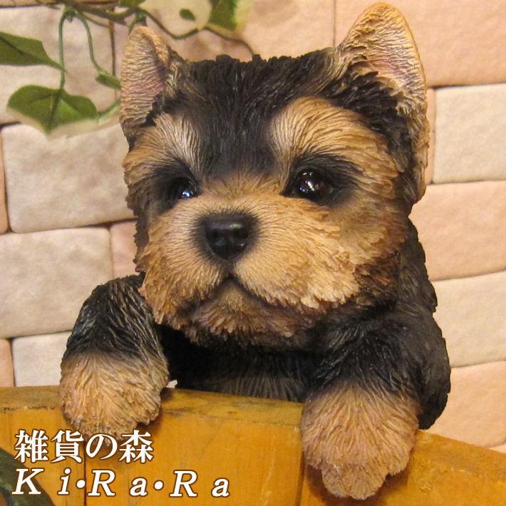 置物 動物 可愛い 犬の置物 ヨークシャーテリア リアル ぶらさがり