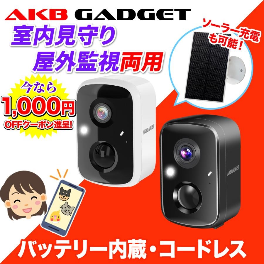 DXアンテナ ワイヤレス フルHD カメラ＆モニターセット WSC610S 防犯