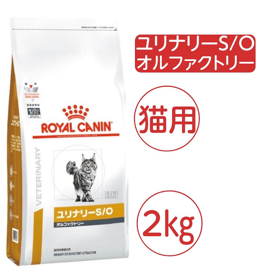 ロイヤルカナン ロイヤルカナン 消化器サポート（可溶性繊維） 猫用