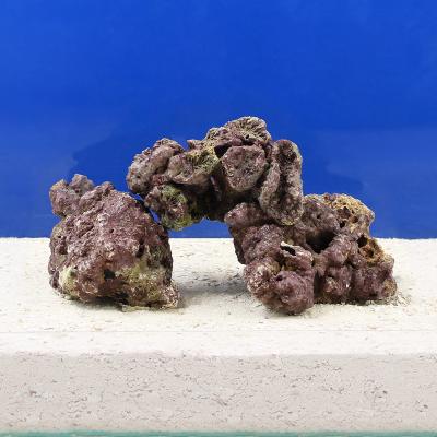 ライブロックのおすすめ人気商品一覧 通販 - Yahoo!ショッピング