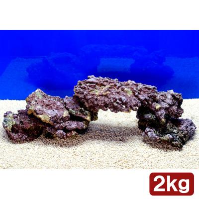 ❖新品アク抜き不要 人工ライブロック 60cm海水水槽用 レプリカ 多孔質