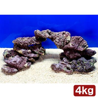 ライブロックのおすすめ人気商品一覧 通販 - Yahoo!ショッピング