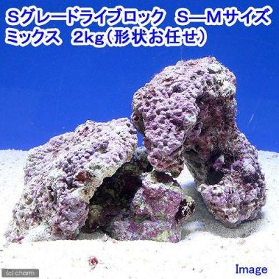 ライブロックのおすすめ人気商品一覧 通販 - Yahoo!ショッピング