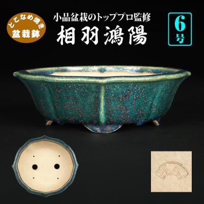 盆栽彩都ヤフー店 - 盆栽鉢｜Yahoo!ショッピング