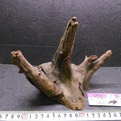 アク抜き済み 流木のおすすめ人気商品一覧 通販 - Yahoo!ショッピング