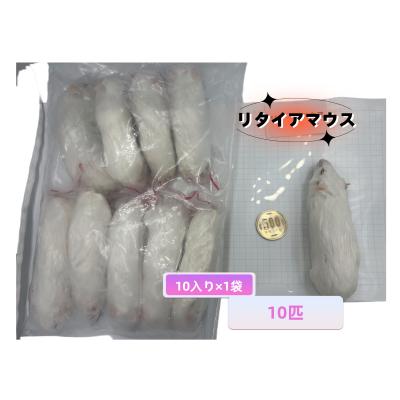 冷凍マウス リタイアのおすすめ人気商品一覧 通販 - Yahoo!ショッピング