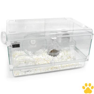 グラスハーモニー600 2個セット グラスハーモニー600のおすすめ人気