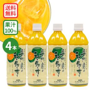 青切り シークヮーサー100（500ml）【6本セット】シークワーサー 100