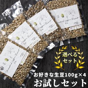 コーヒー 生豆 お得な 500g ブラジル トミオフクダ ドライオンツリー