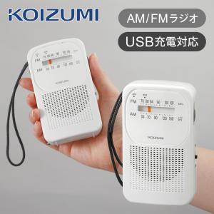 オン・ステージ パーソナルカラオケWシリーズ専用 ペアマイク PK-WD301