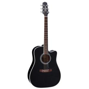 Takamine ワールド・スタンダード・シリーズ EF381SCBL (gloss