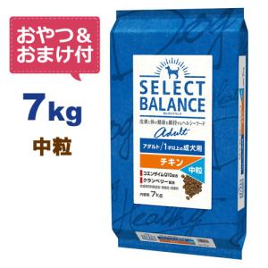 SELECT BALANCE （国産おやつ＆おまけ付き）セレクトバランス アダルト