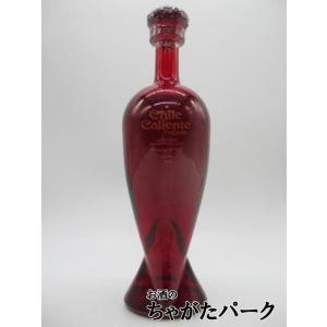 カサ マエストリ MFM アネホ 陶器ボトル テキーラ 40度 750ml : お