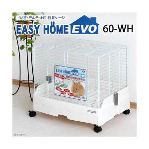 GEX（ジェックス） クリアフロント80 ケージ アクリル ワイヤー クリア