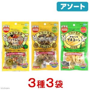 三晃商会 ラクトバイト 50g 栄養補助食 乳酸菌 うさぎ フェレット