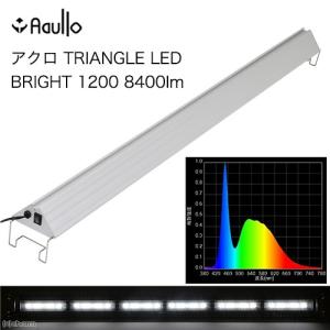 アクロ TRIANGLE LED BRIGHT Pro 600